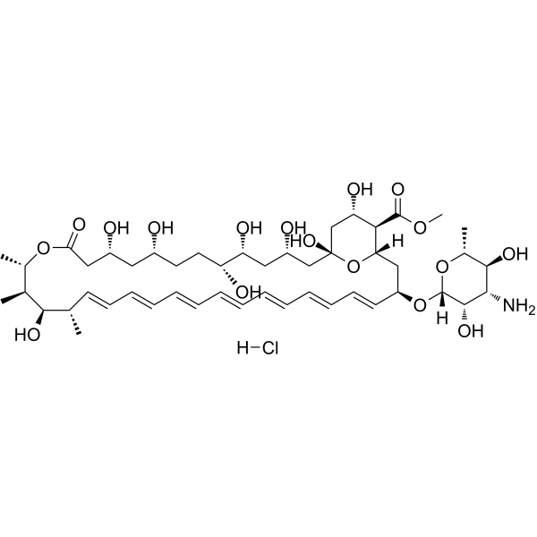 Amphotericin B methyl ester hydrochloride 35375-29-2